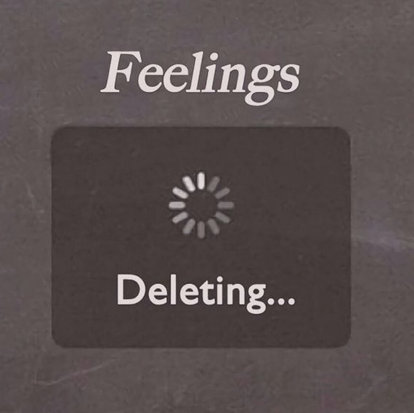 Meet your Posher, Ashlynn - Picture 1 of 1